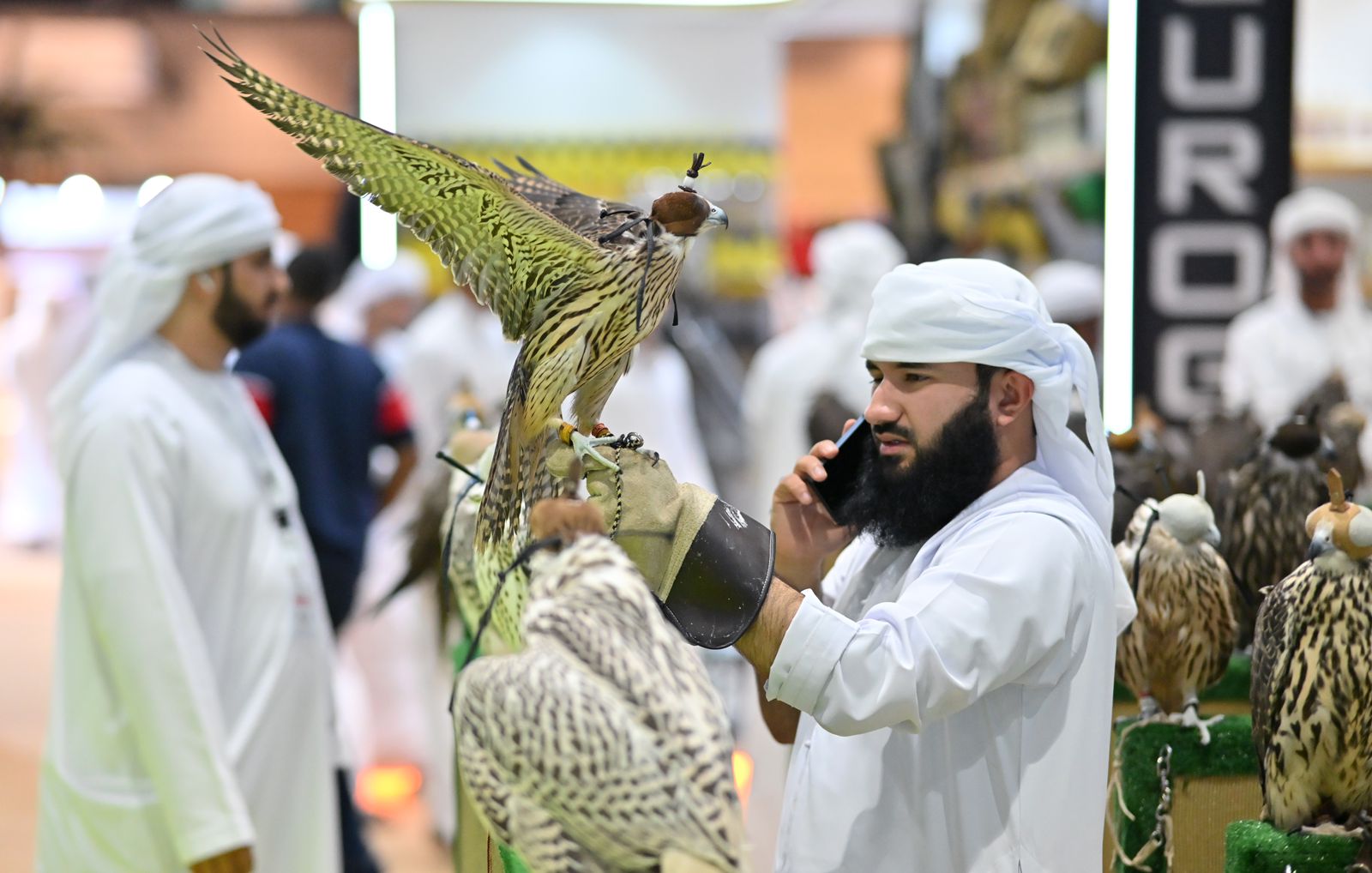 برعاية سمو الشيخ حمدان بن زايد آل نهيان انطلاق أكبر دورة من معرض أبوظبي الدولي للصيد والفروسية في مركز أبوظبي الوطني للمعارض