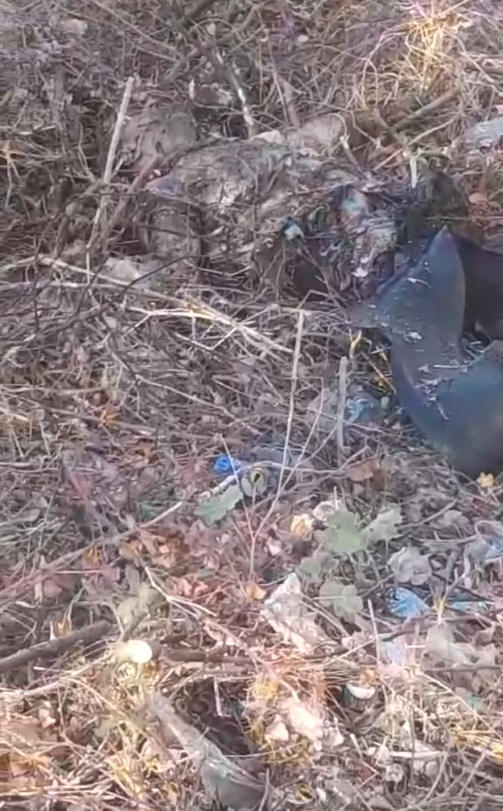 سلاح الجوّ قتل ناصر عبد العزيز نائب قائد منطقة بنت جبيل في “حزب