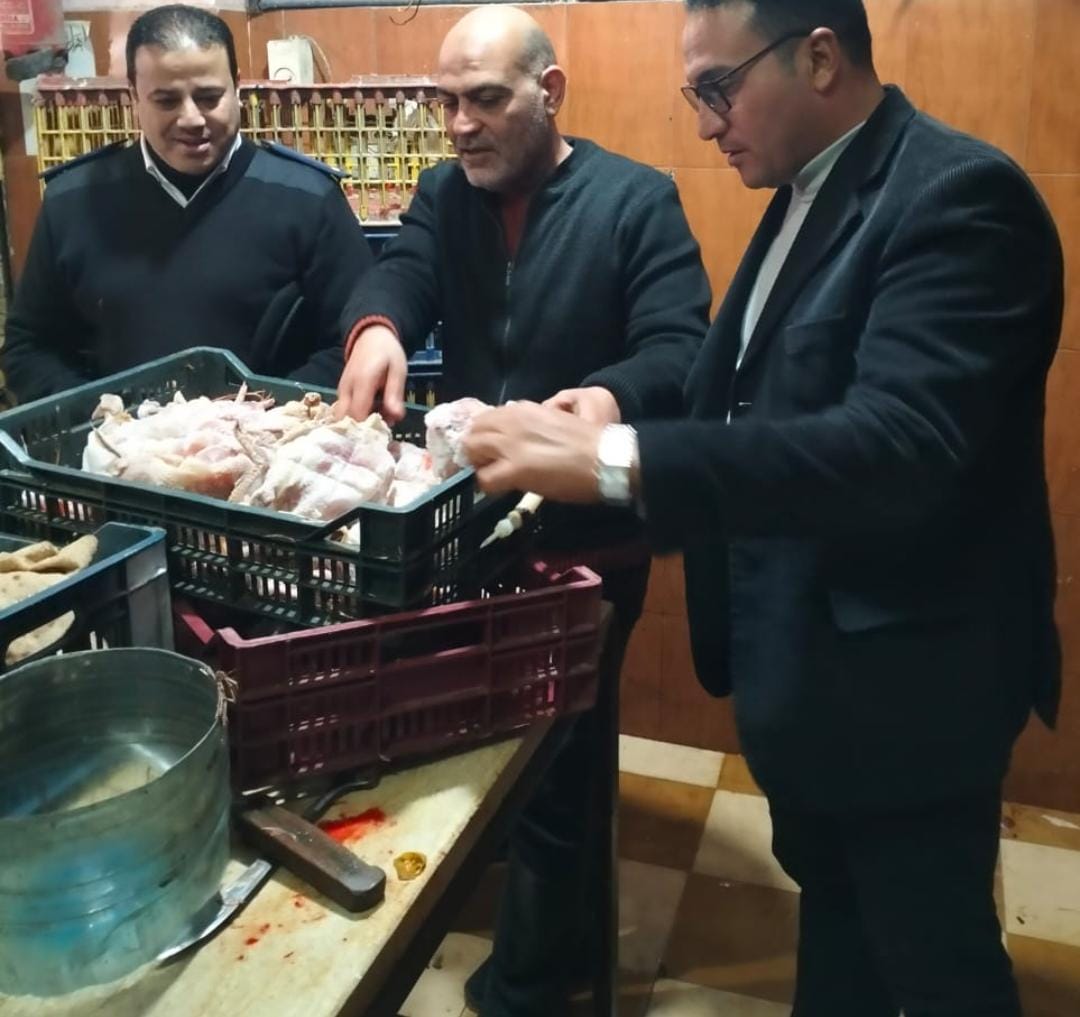 بيطري المنوفية : ضبط ربع طن دواجن غير صالحة للاستهلاك الآدمى بشبين الكوم.