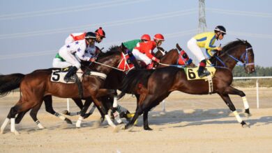 انطلاق منافسات سباقات الخيل في ميدان الفروسية بالدمام الجمعة المقبل.