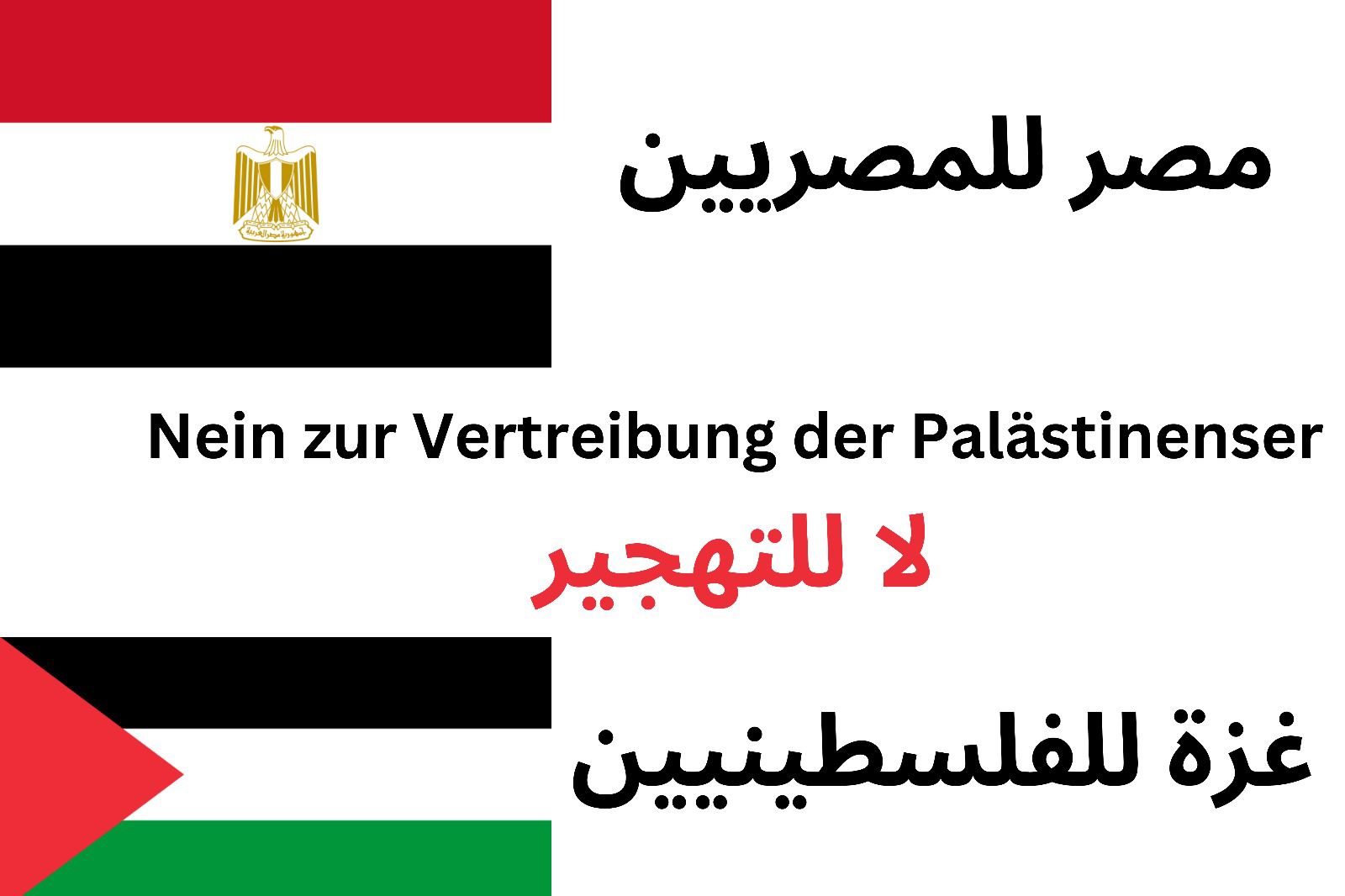 وقفة تضامنية «لا للتهجيير وغزة للفلسطينين» بفيينا عاصمة النمسا