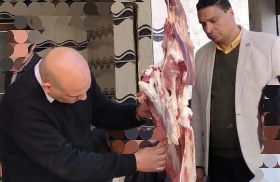 تحرير 20 محضرا تموينيا وضبط أسماك وكبدة مجمدة غير صالحة بالمنوفية