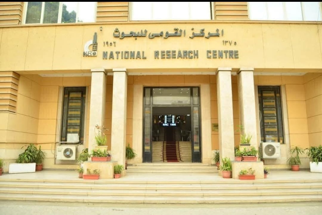 التعليم العالي: دعم الابتكار وريادة الأعمال في الصناعات النسيجية لتعزيز التصنيع المحلي