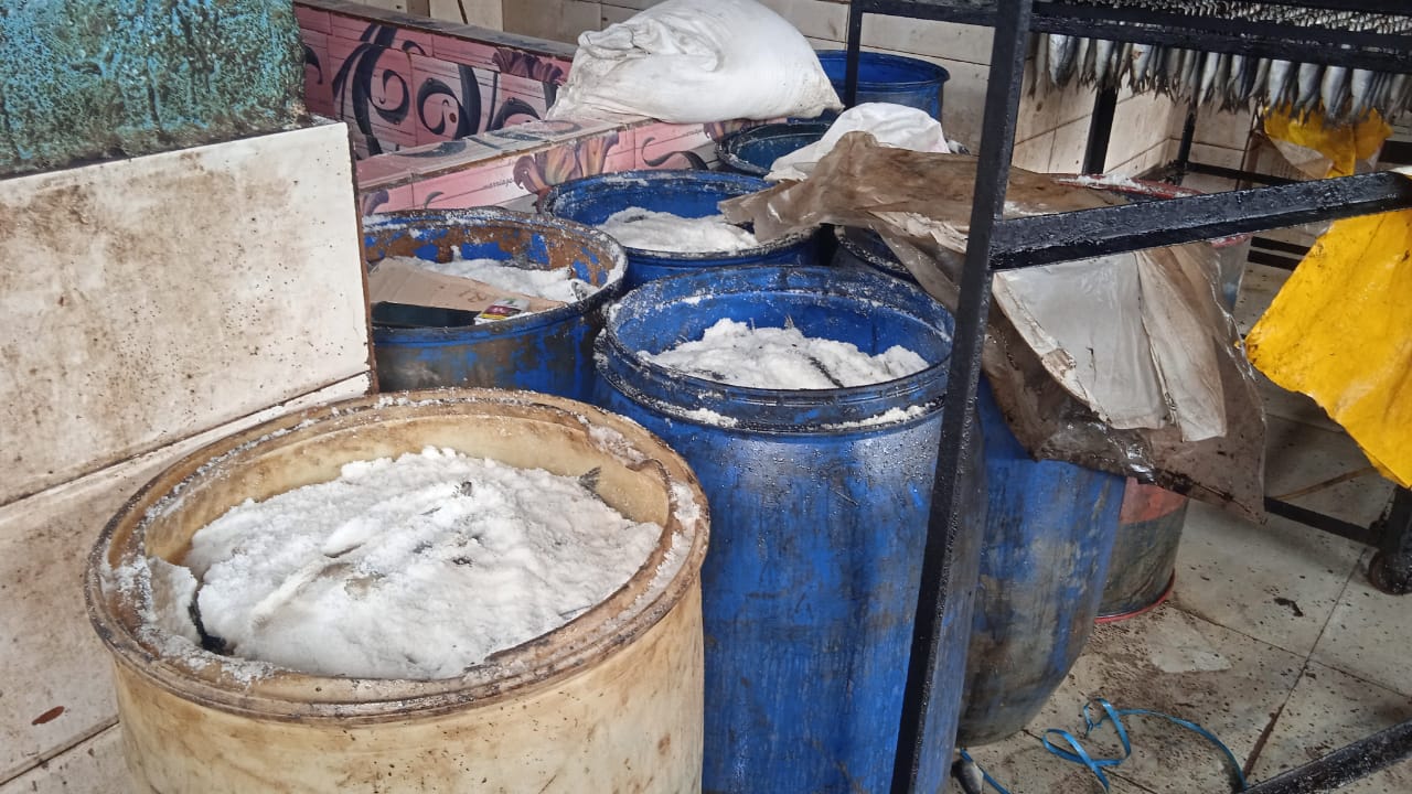 ضبط 15 طن أسماك ورنجة مجمدة ومملحة غير مطابقة للاشتراطات الصحية بالمنوفية