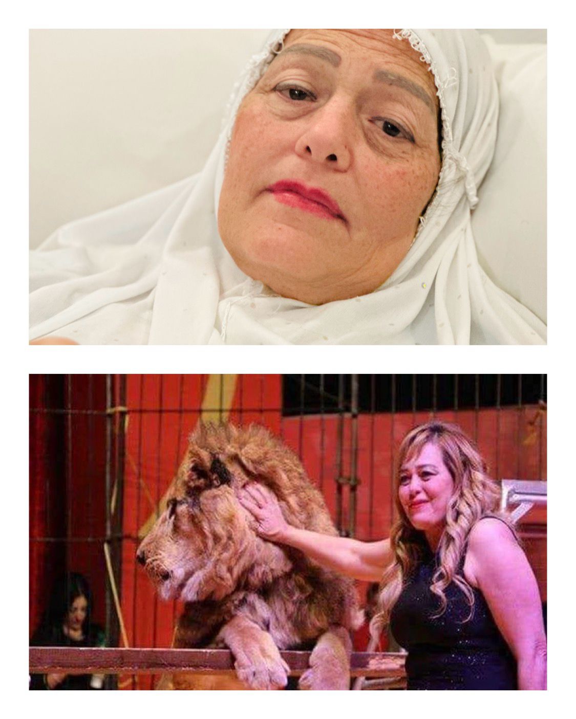 فاتن الحلو تكشف عن تجربتها في دار كبار الفنانين: “دهب وكاميليا سندي في الحياة”