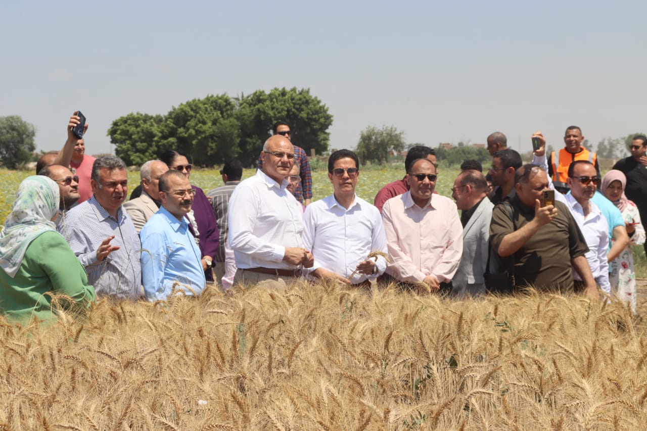 محافظ القليوبية ورئيس جامعة بنها يفتتحان موسم حصاد القمح بكلية الزراعة بمشتهر
