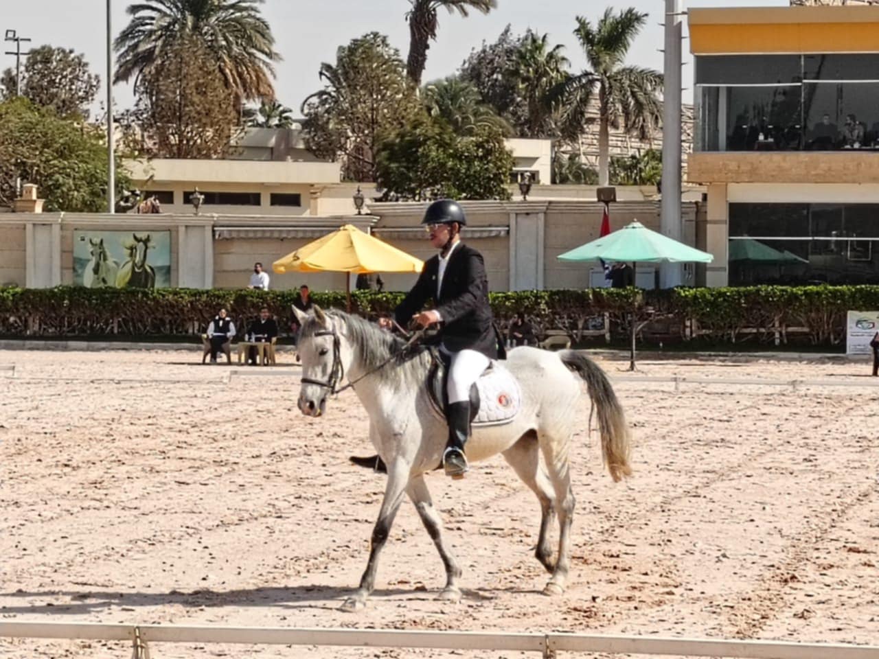 غدا ..إنطلاق نهائي بطولة الجمهورية للفروسية لقادرون باختلاف لذوي الهمم