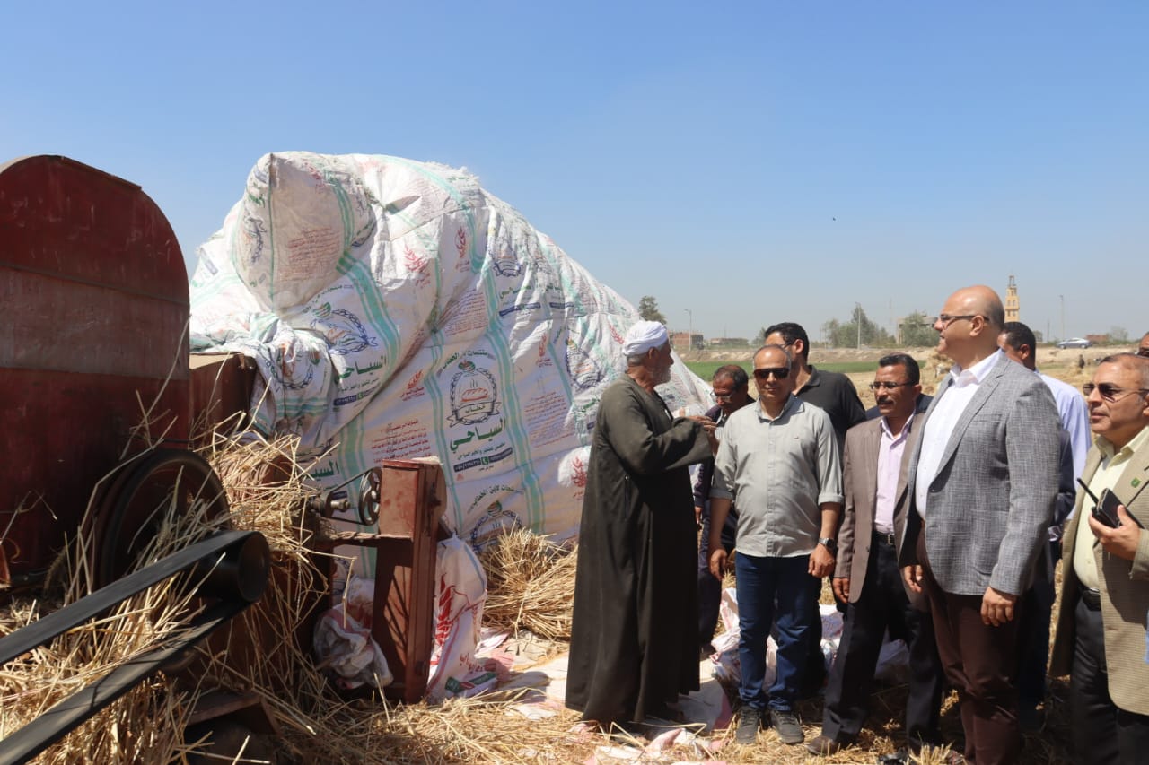 محافظ القليوبية : توريد 41365.906 طن من القمح بنسبة مئوية بلغت 86.1%