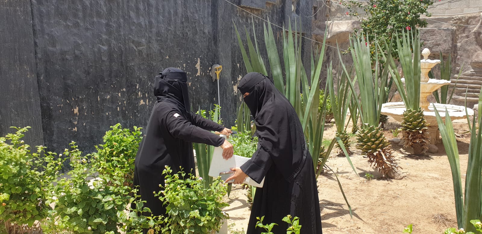 مبادرة ( داري خضراء ) بحضانة الدمام