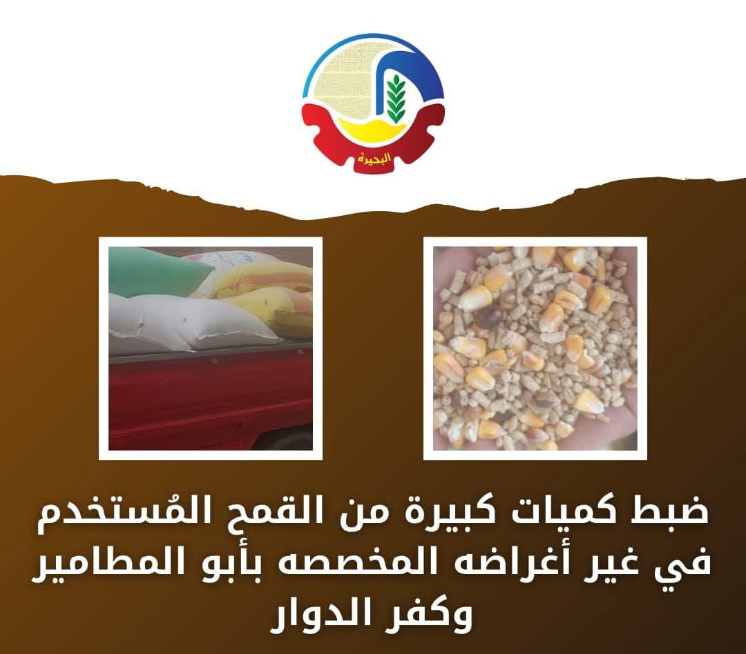 البحيرة تنظم حملات رقابية لضبط القمح المُستخدم في غير أغراضه المخصصة