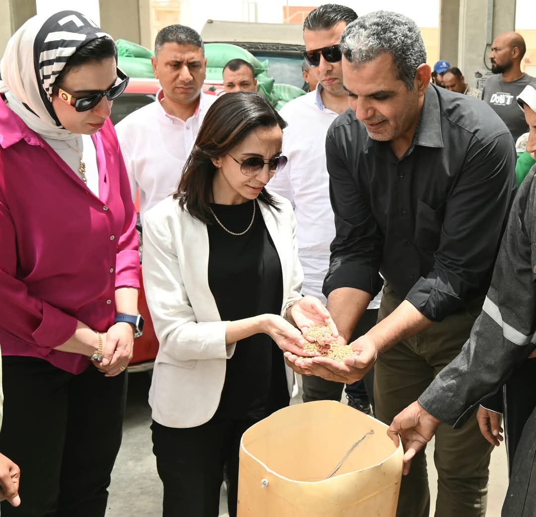 محافظ البحيرة تتابع أعمال التوريد بصوامع الغلال بقريتي العشرة آلاف والنوبارية