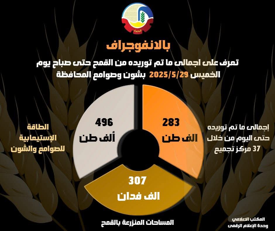 بالإنفوجراف … البحيرة تتجاوز ٢٨٣ ألف طن قمح مورَّد للشون والصوامع
