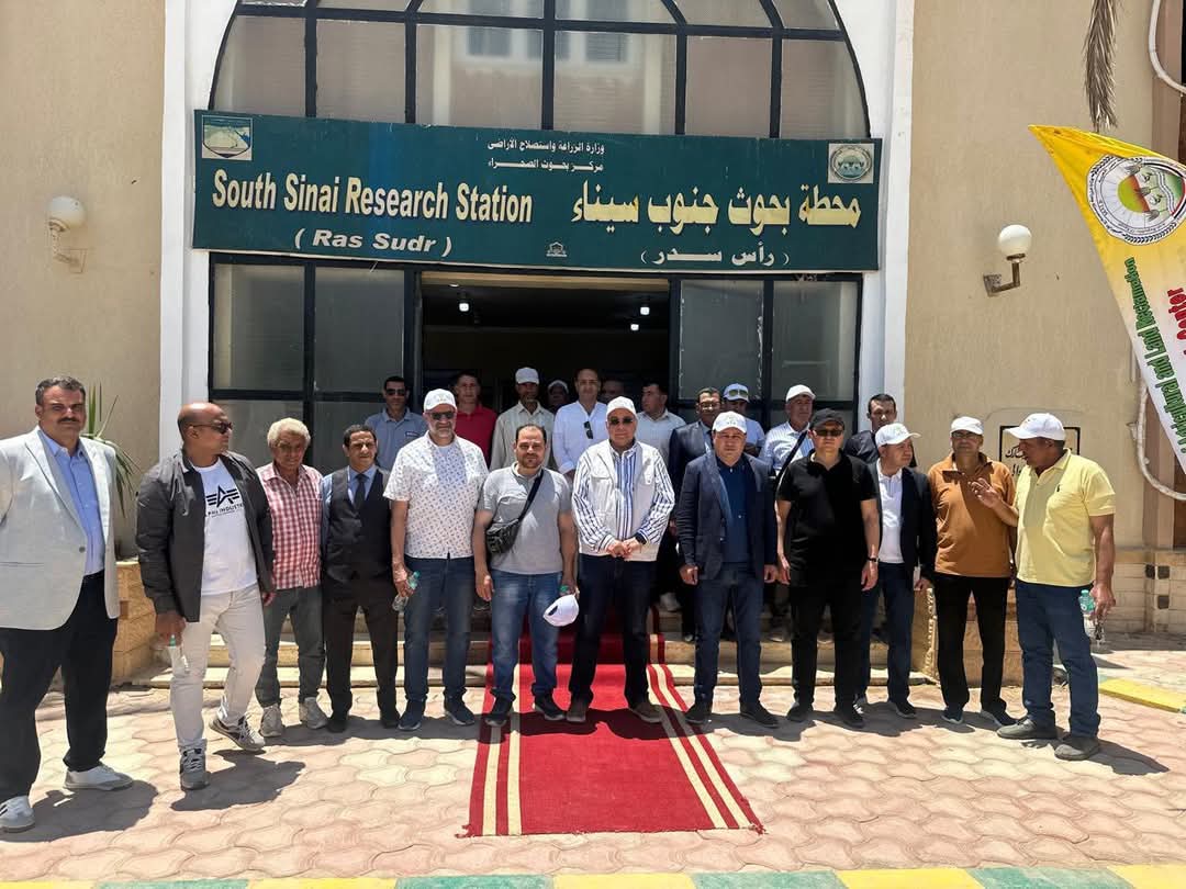 مركز بحوث الصحراء يستضيف وفد مجلس وزراء أوزبكستان للاطلاع على التجارب والنماذج الزراعية بسيناء