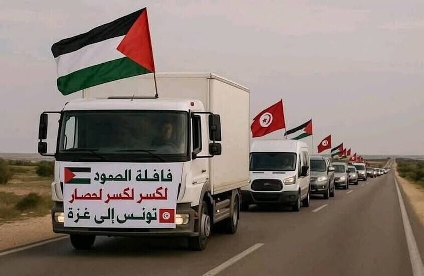 مصر.. بيان رسمي بشأن قافلة الصمود وضوابط زيارة الحدود مع قطاع غزة