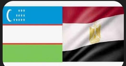 مصر وأوزبكستان تبحثان ملف فتح السوق الأوزبكي أمام العنب والرمان المصري