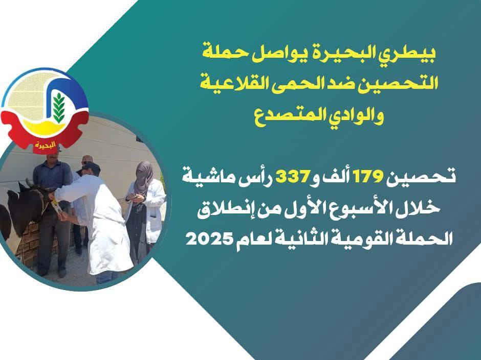 بيطري البحيرة يواصل حملة التحصين ضد الحمى القلاعية والوادي المتصدع