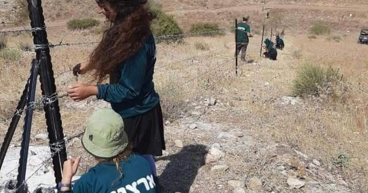 مستوطنون يستولون على أرض في الفارسية