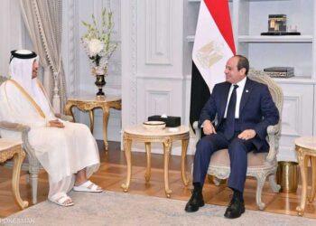 مصر وقطر تؤكدان على رفض احتلال غزة أو تهجير سكانها