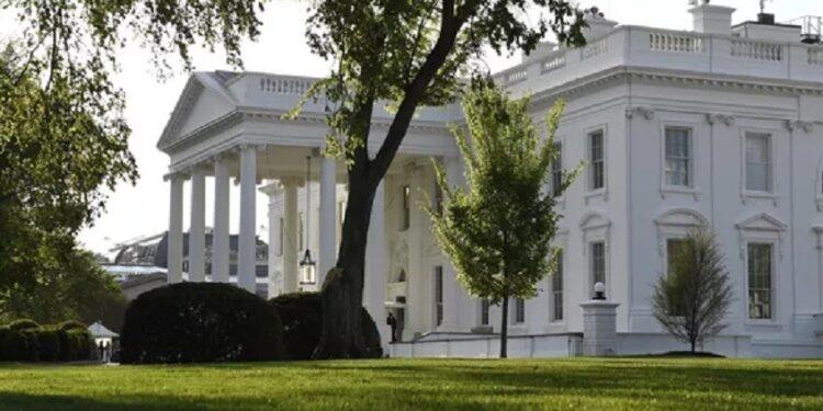 البيت الأبيض: ترامب غير راضٍ عن التطورات في أوكرانيا