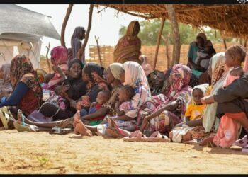 المديرة الإقليمية لصندوق الأمم المتحدة للسكان للدول العربية:تفاقم الأزمة الإنسانية في شمال دارفور