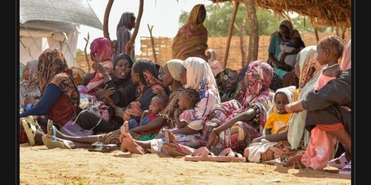 المديرة الإقليمية لصندوق الأمم المتحدة للسكان للدول العربية:تفاقم الأزمة الإنسانية في شمال دارفور