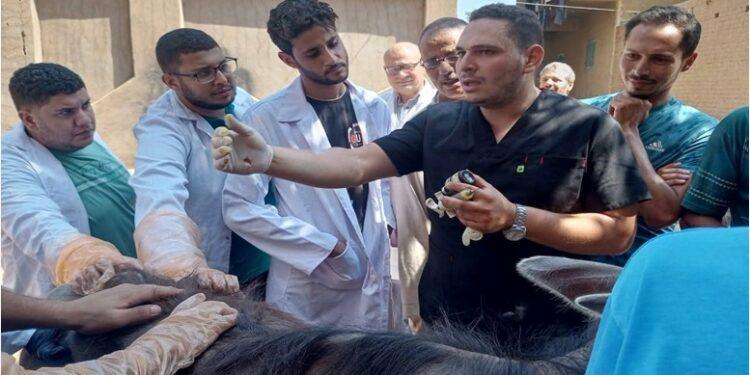 “الزراعة” تطلق 310 قافلة بيطرية مجانية في 299 قرية خلال يوليو الماضي