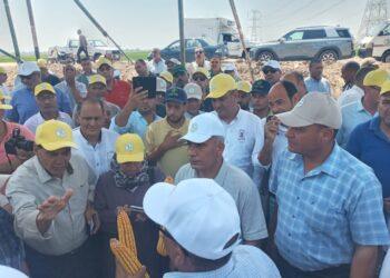 الزراعة تتابع الحقول الارشادية وتشهد فعاليات يوم الحقل السنوي للذرة الشامية