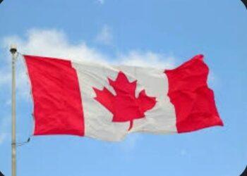 كندا تعرب عن صدمتها إزاء الهجوم العسكري الإسرائيلي على مستشفى ناصر في غزة، والذي أسفر عن مقتل خمسة صحفيين