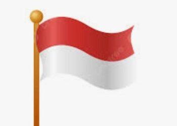 إندونيسيا تقترب من سنغافورة في تجريم السجائر الإلكترونية