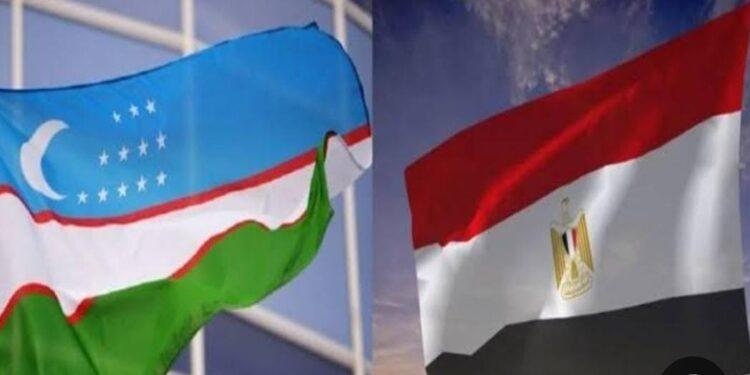 شراكة دوائية جديدة بين مصر وأوزبكستان لتعزيز الأمن الصحي