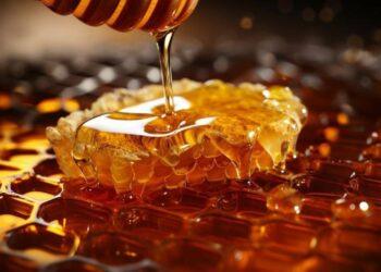 إنتاج 6،6 ألف طن من العسل في أوزبكستان خلال النصف الأول من عام 2025