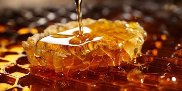 إنتاج 6،6 ألف طن من العسل في أوزبكستان خلال النصف الأول من عام 2025