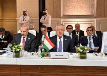 شارك سراج الدين مهر الدين في اجتماع وزراء خارجية الدول الأعضاء في منظمة التعاون الإسلامي والعربي.