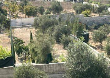 جرافات الاحتلال تدمر أراضي وأسوار في سلوان بالقدس