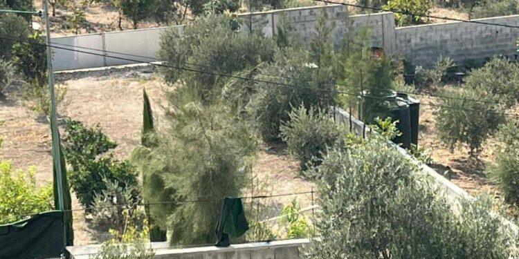 جرافات الاحتلال تدمر أراضي وأسوار في سلوان بالقدس