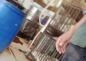 حملات تموينية مكبرة بشبين القناطر و ضبط 50 مخالفة متنوعه وتم تحويلها للنيابة العامة للتحقيق