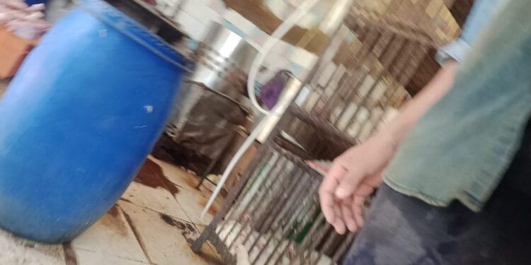 حملات تموينية مكبرة بشبين القناطر و ضبط 50 مخالفة متنوعه وتم تحويلها للنيابة العامة للتحقيق