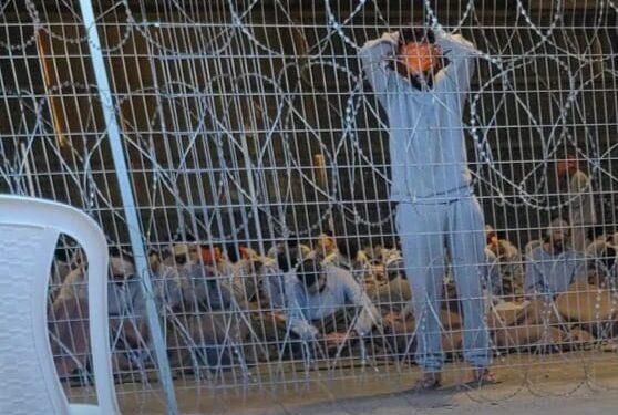 مؤسسات الاسرى تدعو عائلات معتقلي غزة للتواصل لمعرفة مصير أبنائهم