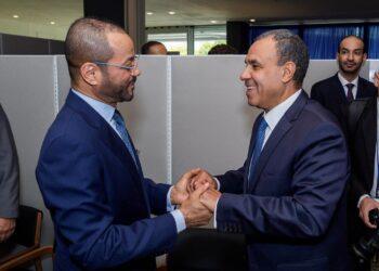 وزير الخارجية المصرى يؤكد لنظيره العماني التزام مصر الراسخ بأمن دول “التعاون الخليجي”