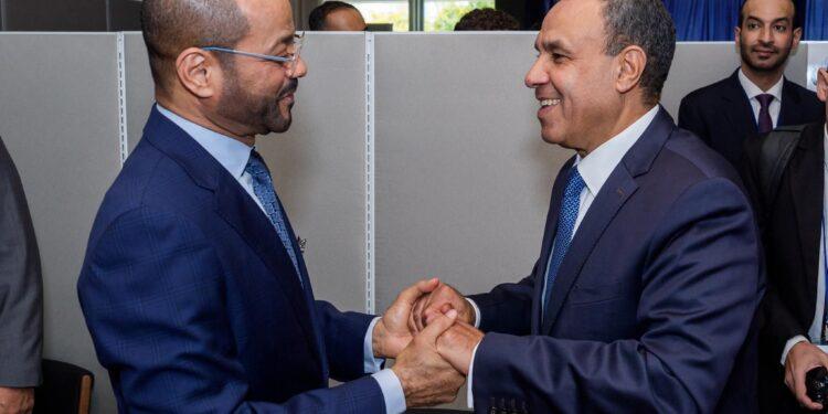 وزير الخارجية المصرى يؤكد لنظيره العماني التزام مصر الراسخ بأمن دول “التعاون الخليجي”