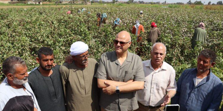 محافظ القليوبية يتفقد حصاد “الذهب الأبيض” بكفر شكر: القطن المصري علامة مسجلة عالمياً والدولة تسعى للتوسع في المساحات وتحسين الأصناف