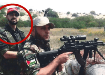 دخل أميركا بتأشيرة احتيالية.. اعتقال شخص شارك بهجوم 7 أكتوبر