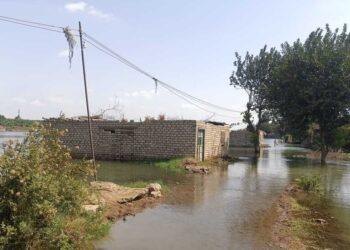 يهربون من منازلهم بالمراكب بعد غرقها بمياه فيضان النيل (فيديو)