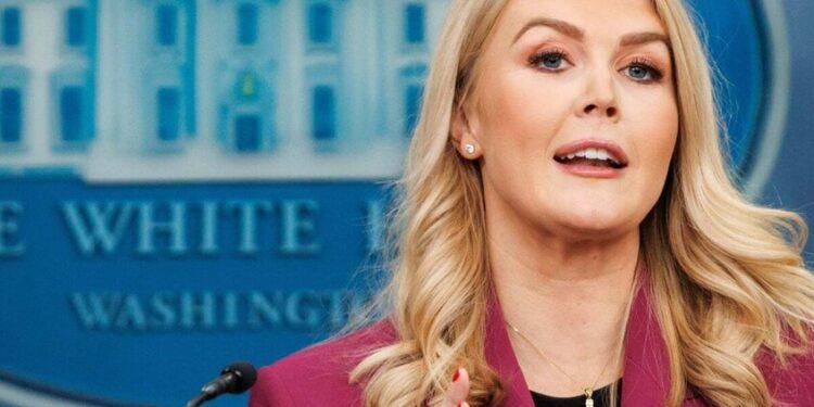 “أمك”.. رد صادم من المتحدثة باسم البيت الأبيض بشأن اختيار مكان لقاء بوتين وترامب المرتقب!