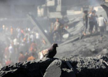 شينخوا : إسرائيل وحماس تستعدان لتنفيذ اتفاق غزة