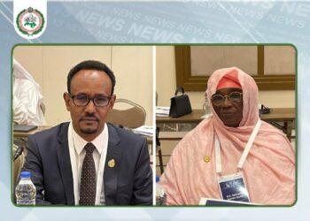 البرلمان العربي: مواجهة الإرهاب الإلكتروني تتطلب مبادرات تشريعية معاصرة وشراكات مقننة مع الكيانات التكنولوجية الكبرى