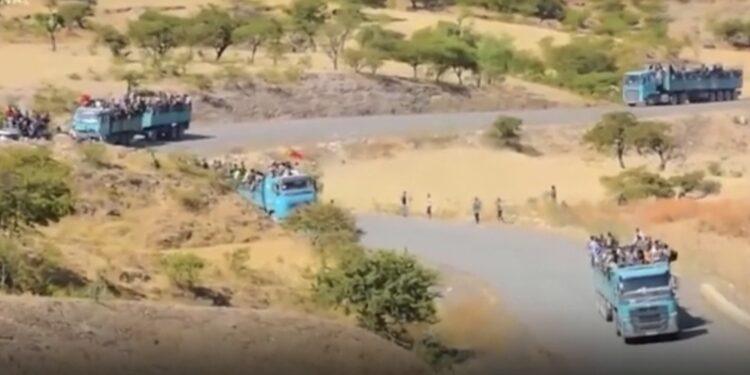 إثيوبيا تتهم إريتريا بالاستعداد للحرب عليها