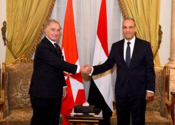 وزير الخارجية المصري يلتقي وزير خارجية فرسان مالطا