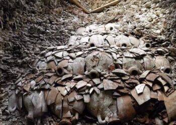 هيئة مقاومة الجدار والاستيطان: موسم الزيتون في الضفة الغربية هذا العام هو الأصعب والأخطر منذ عقود بفعل تصاعد اعتداءات المستوطنين