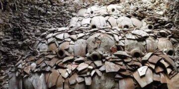 هيئة مقاومة الجدار والاستيطان: موسم الزيتون في الضفة الغربية هذا العام هو الأصعب والأخطر منذ عقود بفعل تصاعد اعتداءات المستوطنين